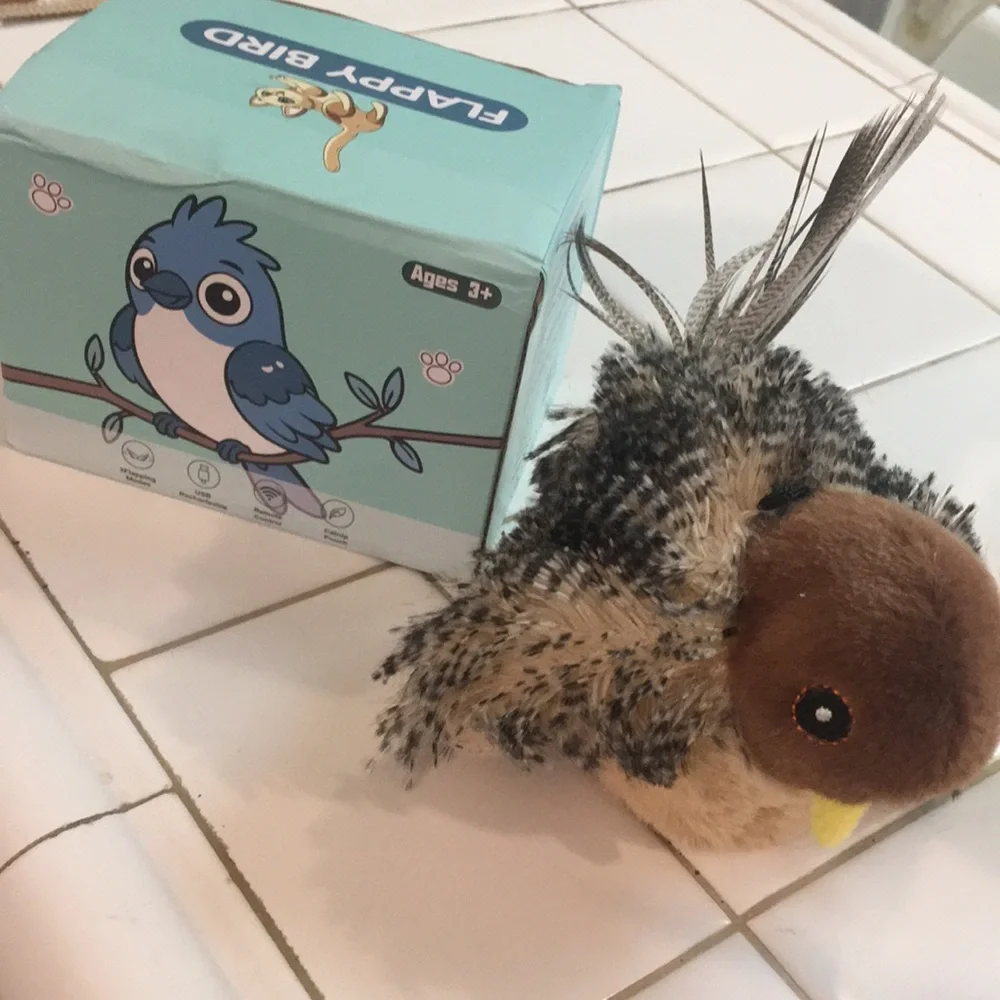 N/A 😻nwt box